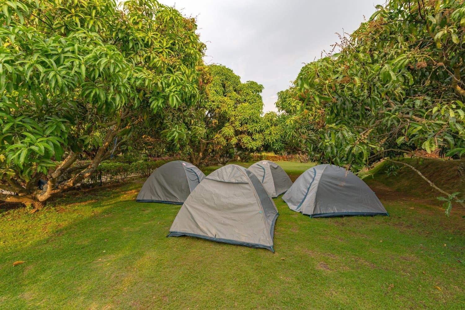 Q Mango Resort Ramanagara Bagian luar foto