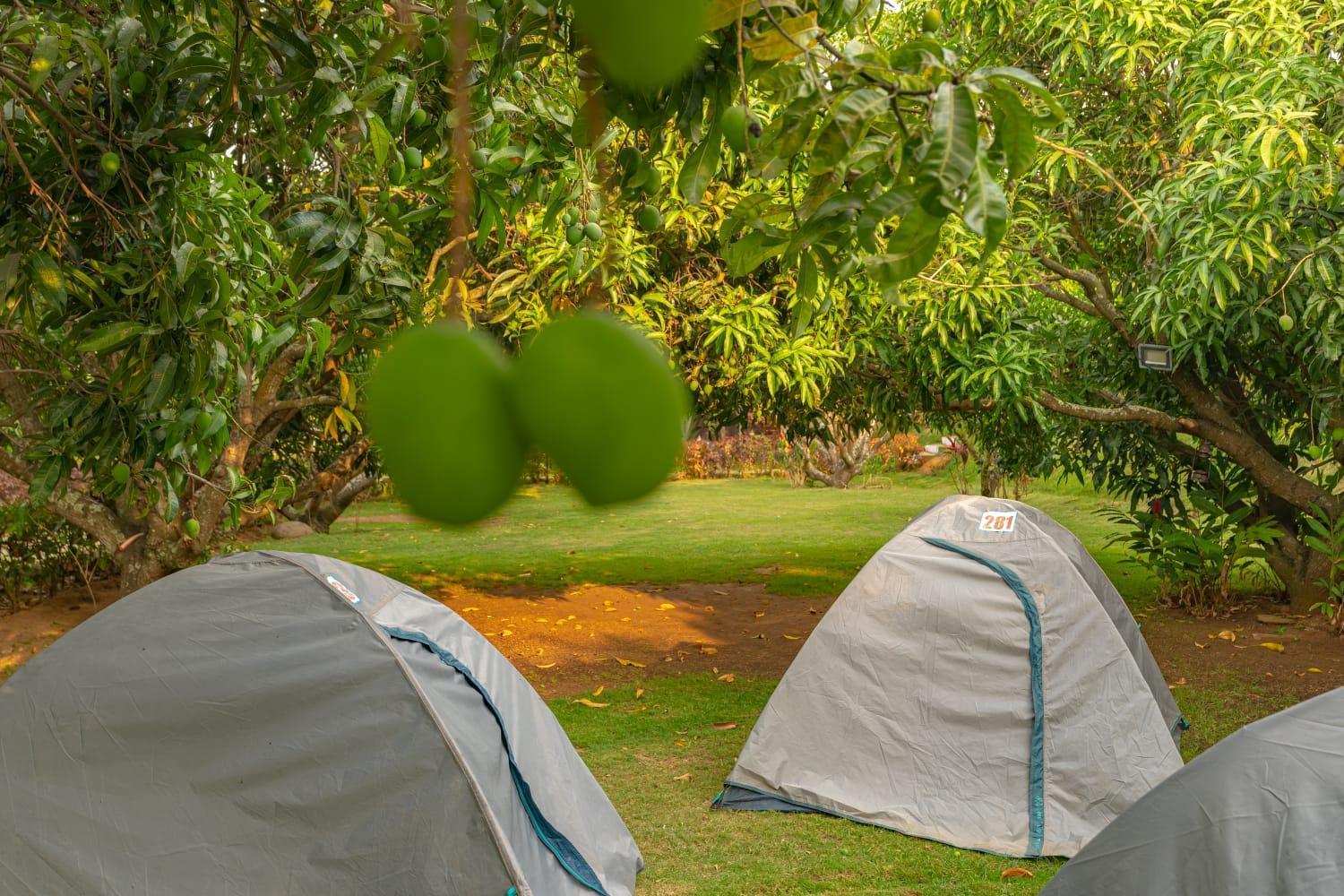 Q Mango Resort Ramanagara Bagian luar foto
